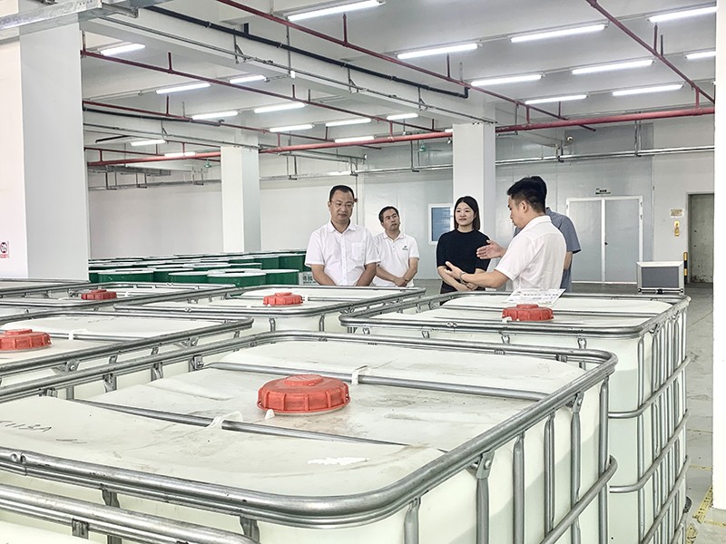 政企连心·共促发展|东莞市东城区政府领导莅临开云体育新材参观指导